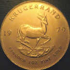 South African Krugerrand Reverse Image